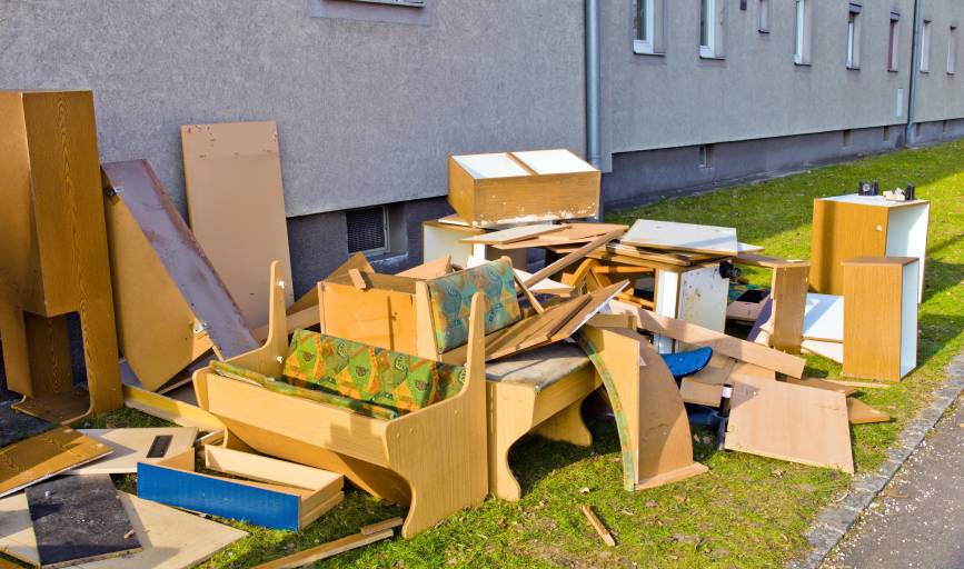 Yard Cleanup